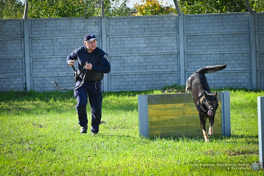 Policyjne psy z Podkarpacia zdały egzamin