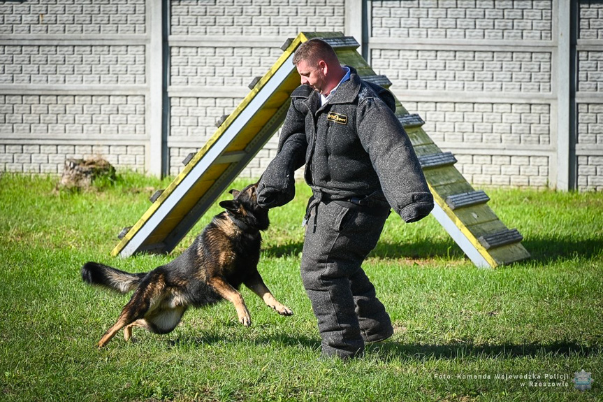 Policyjne psy z Podkarpacia zdały egzamin