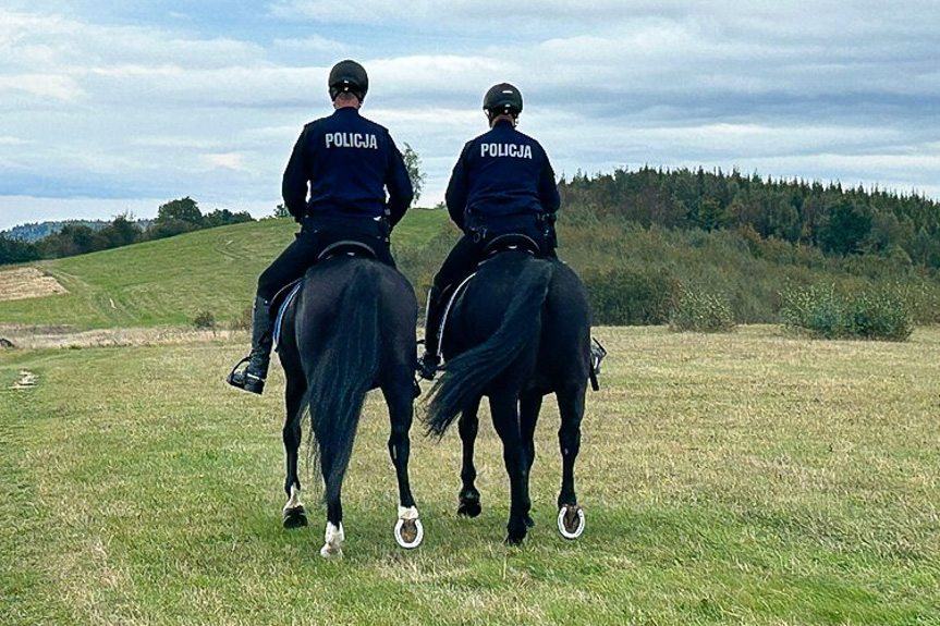 Policyjni jeźdźcy patrolują lasy i szlaki turystyczne