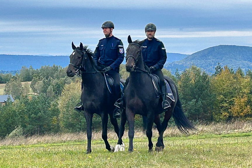 Policyjni jeźdźcy patrolują lasy i szlaki turystyczne