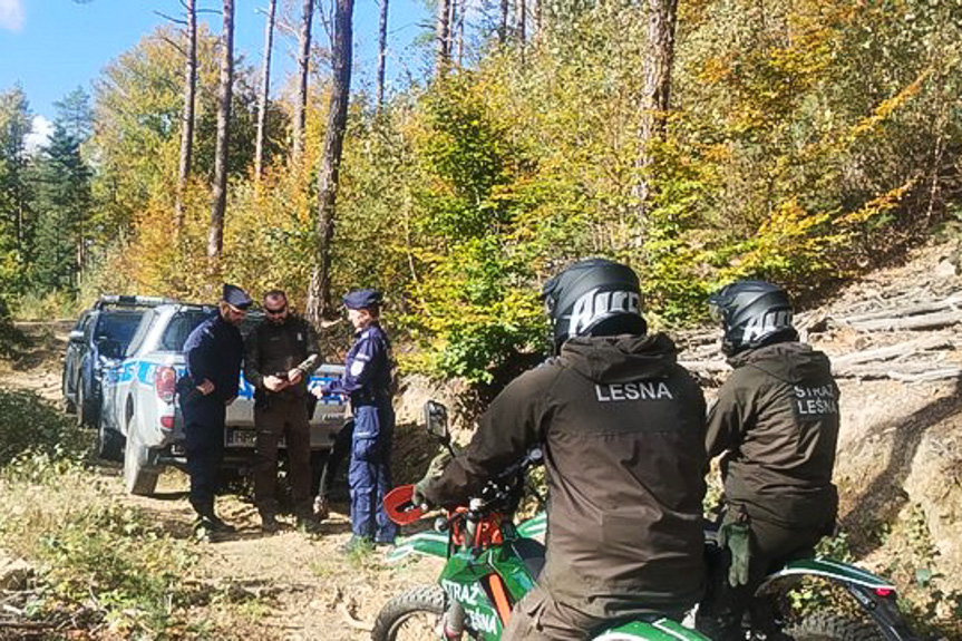 Policyjni jeźdźcy patrolują lasy i szlaki turystyczne