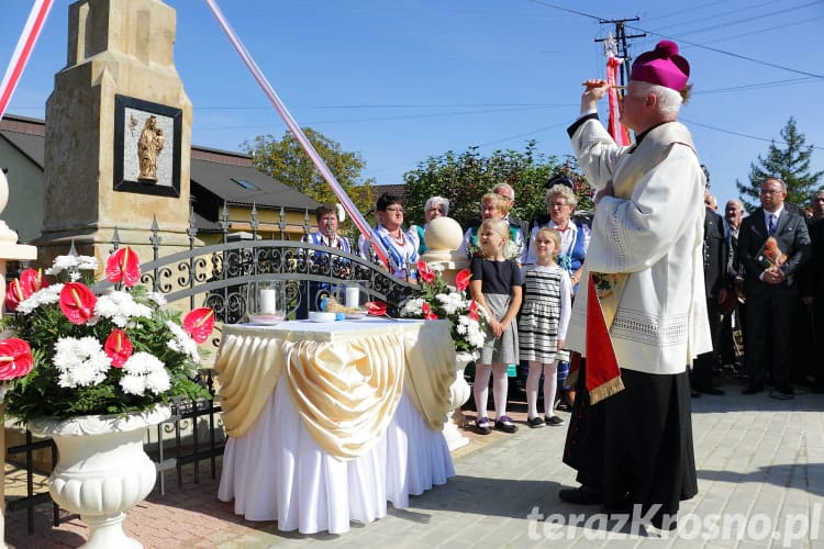 Poświęcenie kapliczki we Wróbliku Królewskim