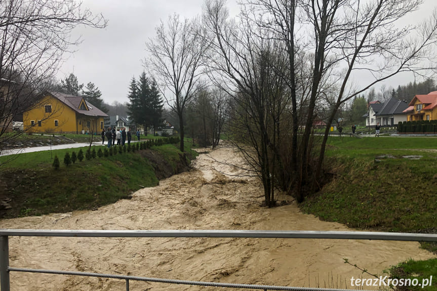 Poszukiwania mężczyzny w rzece