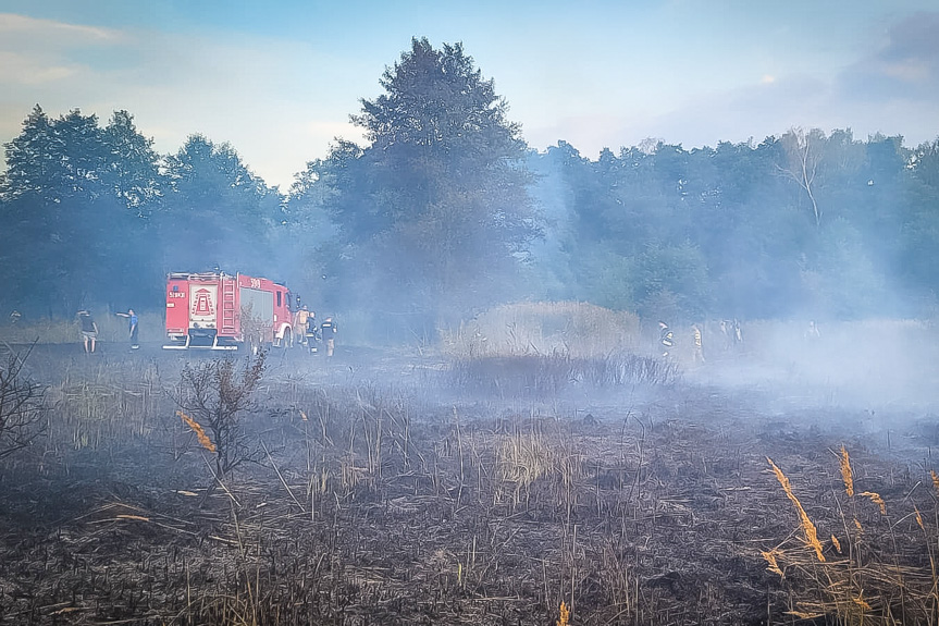 Potężny pożar lasu i nieużytków w Rudniku nad Sanem