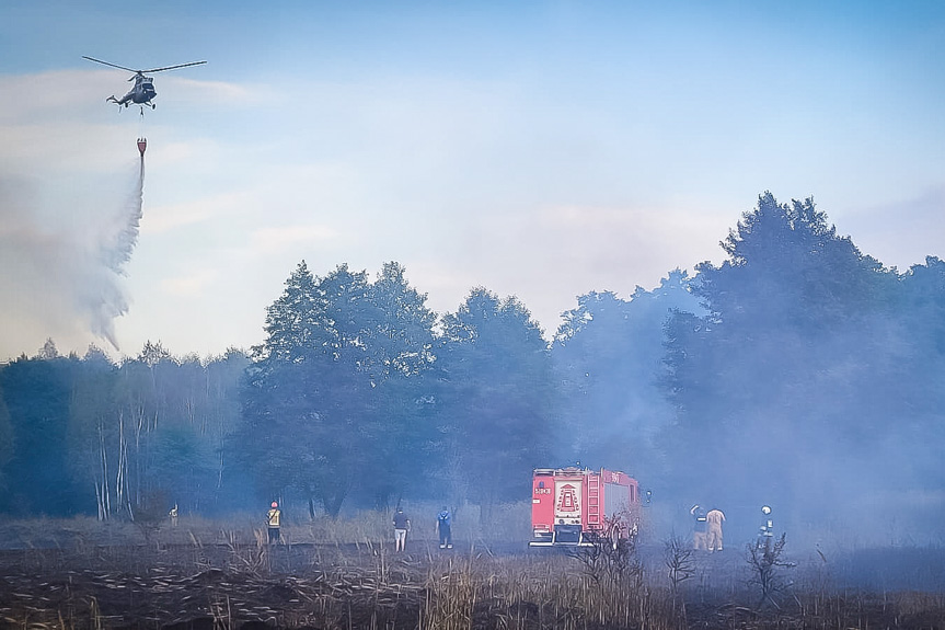 Potężny pożar lasu i nieużytków w Rudniku nad Sanem