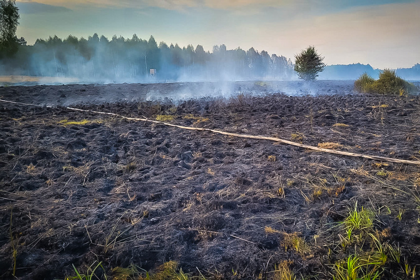 Potężny pożar lasu i nieużytków w Rudniku nad Sanem