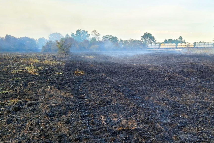 Potężny pożar lasu i nieużytków w Rudniku nad Sanem