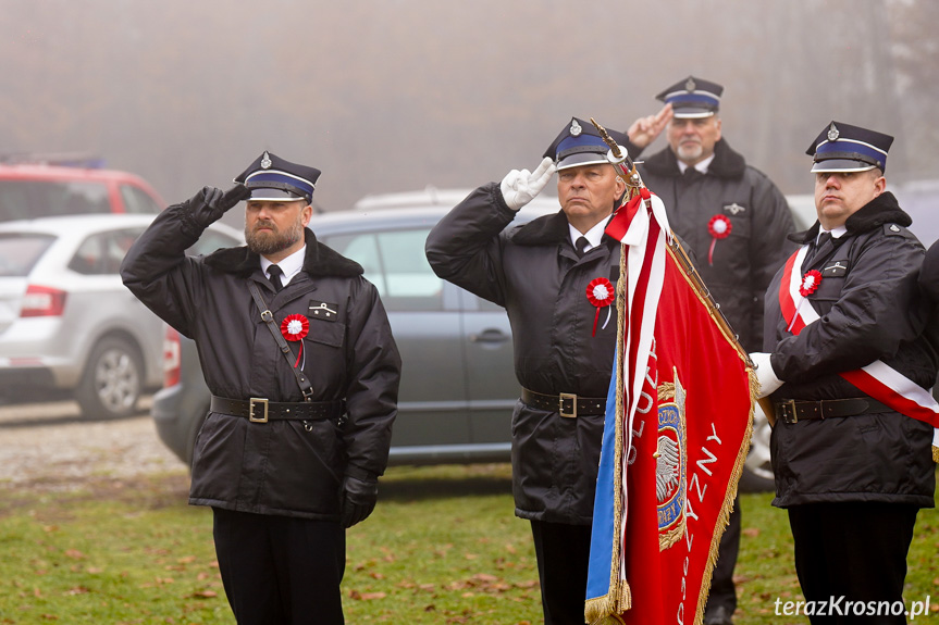 Powiatowe Obchody Narodowego Święta Niepodległości w Odrzykoniu