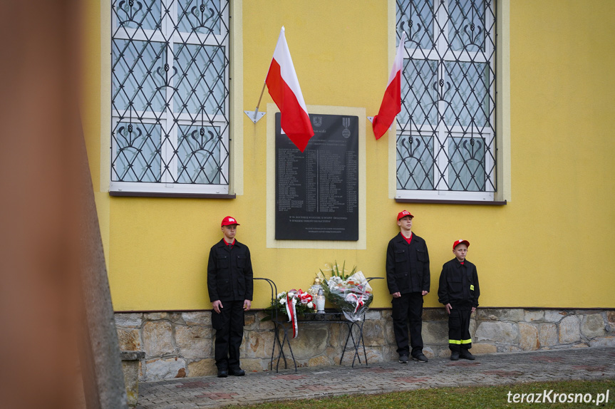 Powiatowe Obchody Narodowego Święta Niepodległości w Odrzykoniu