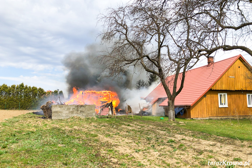 Pożar budynku gospodarczego w Rogach