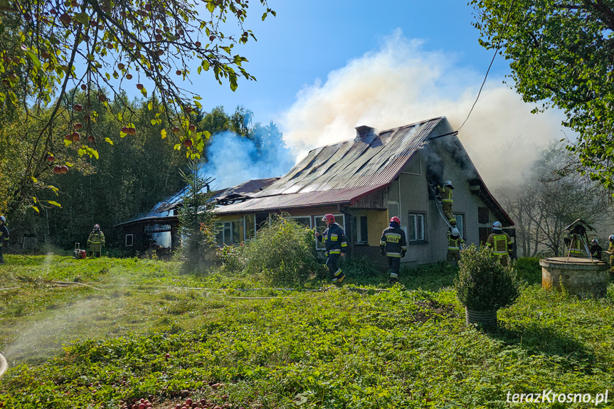 Pożar budynku w Kopytowej