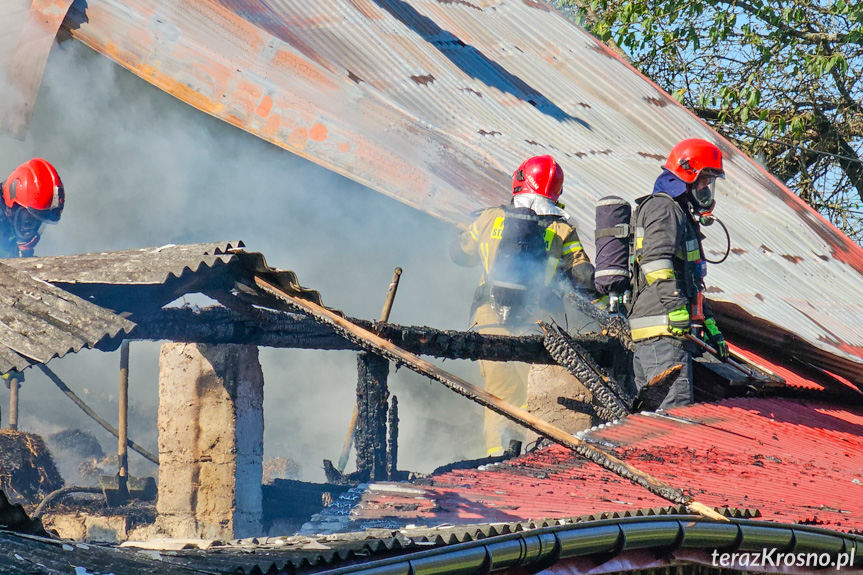 Pożar budynku w Kopytowej