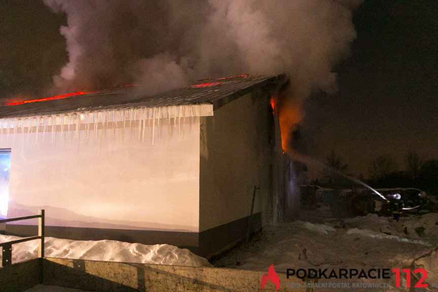 Pożar budynku w Odrzykoniu