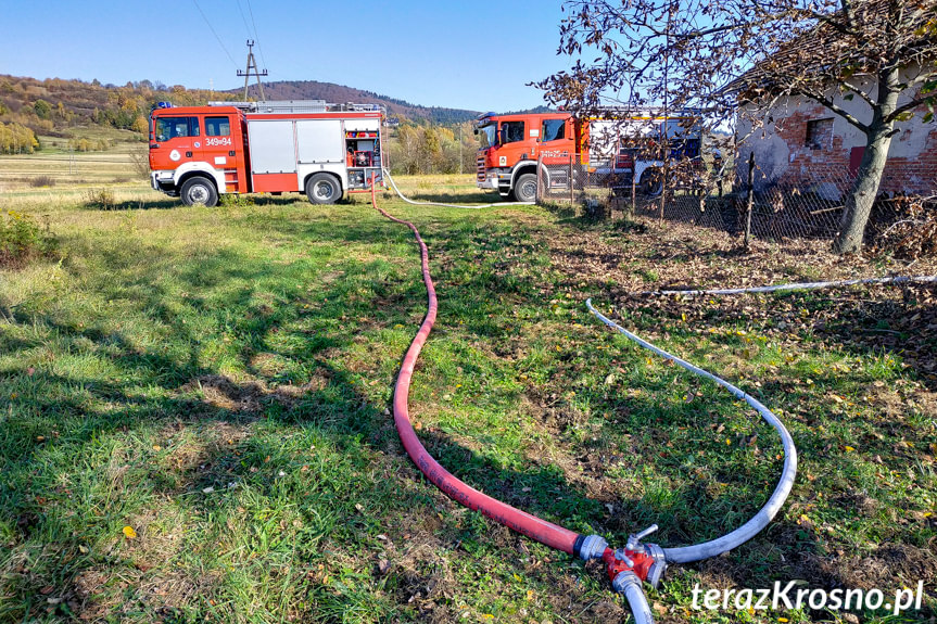 Pożar budynku z drzewem w Odrzykoniu