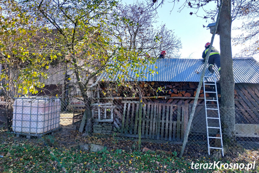 Pożar budynku z drzewem w Odrzykoniu