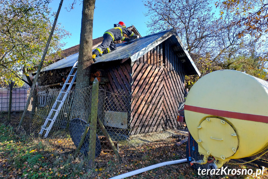 Pożar budynku z drzewem w Odrzykoniu