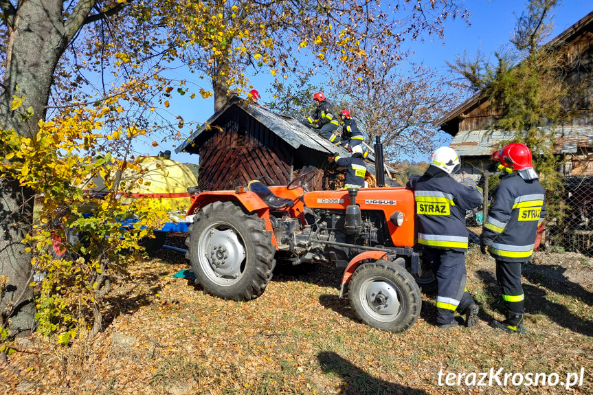 Pożar budynku z drzewem w Odrzykoniu