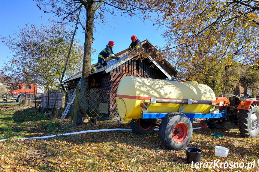 Pożar budynku z drzewem w Odrzykoniu