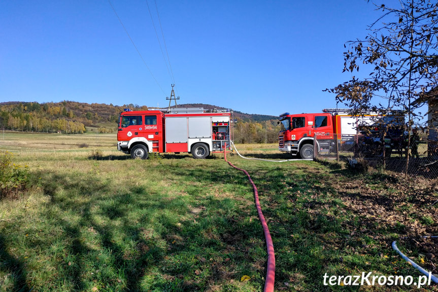 Pożar budynku z drzewem w Odrzykoniu