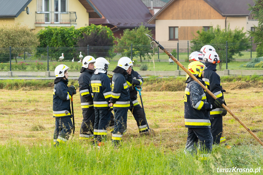 Pożar ciężarówki w Lipowicy