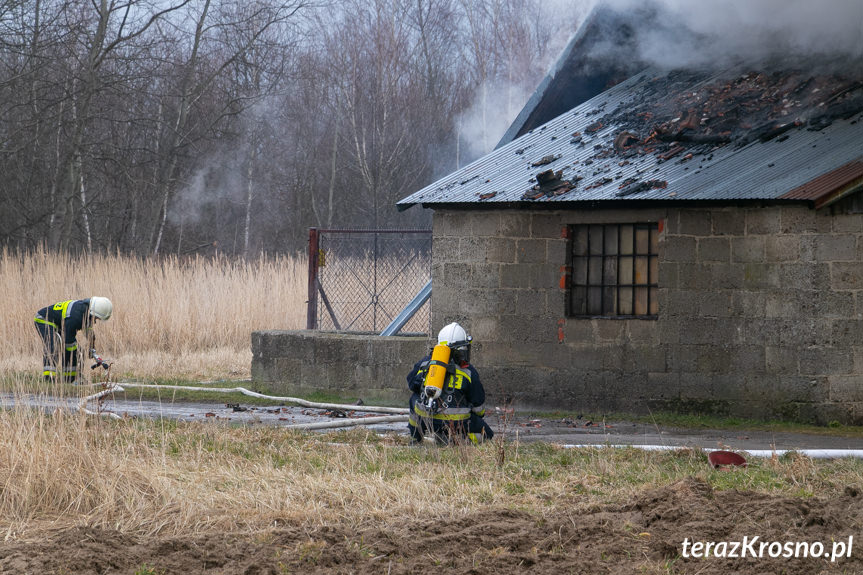 Pożar domu przy ul. Klonowej w Krośnie