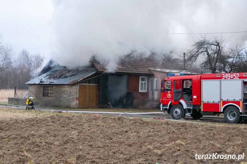 Pożar domu przy ul. Klonowej w Krośnie