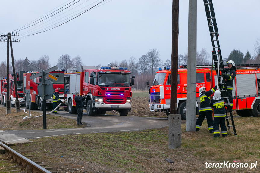 Pożar domu przy ul. Klonowej w Krośnie