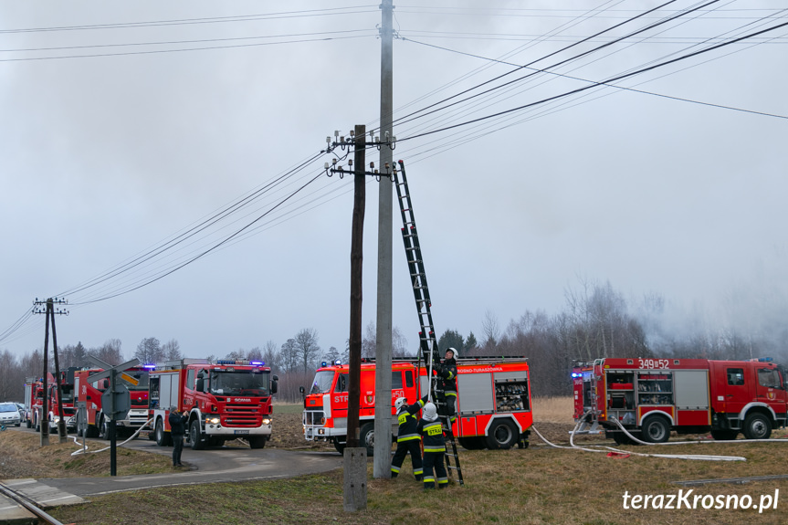 Pożar domu przy ul. Klonowej w Krośnie