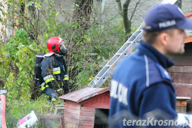 Pożar domu w Iwoniczu