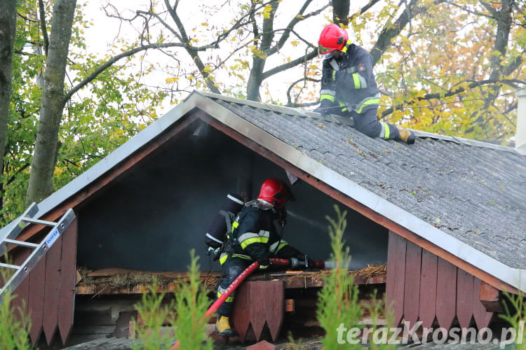 Pożar domu w Iwoniczu