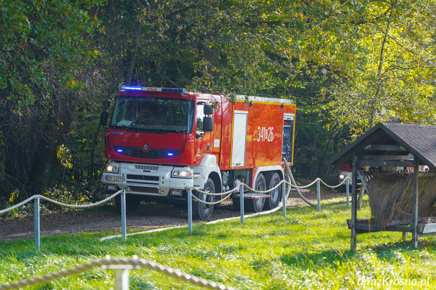 Pożar domu w Potoku