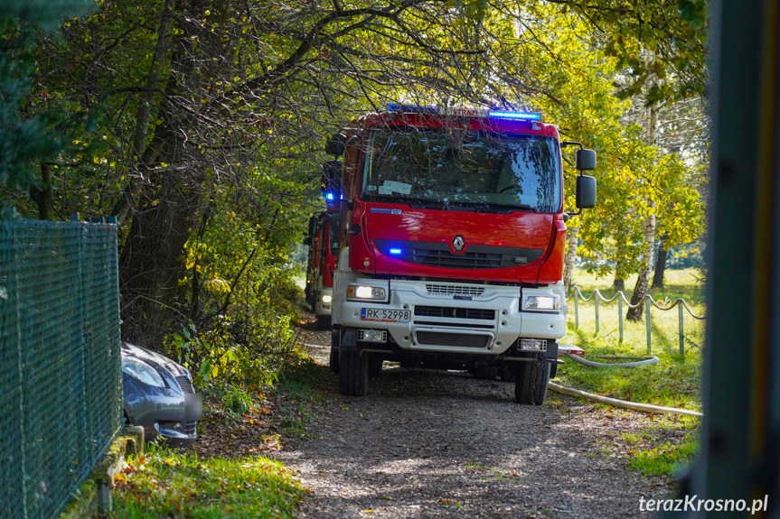 Pożar domu w Potoku