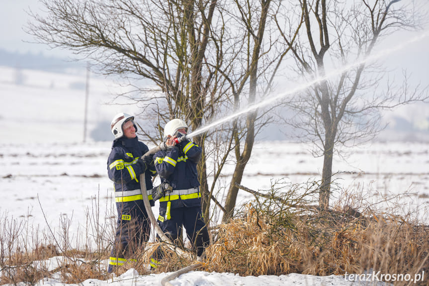 Pożar drewnianego budynku w Kopytowej