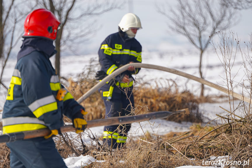 Pożar drewnianego budynku w Kopytowej