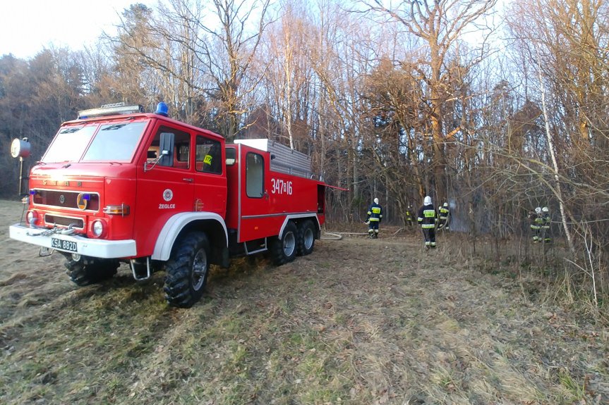 Pożar drzewa w Zręcinie