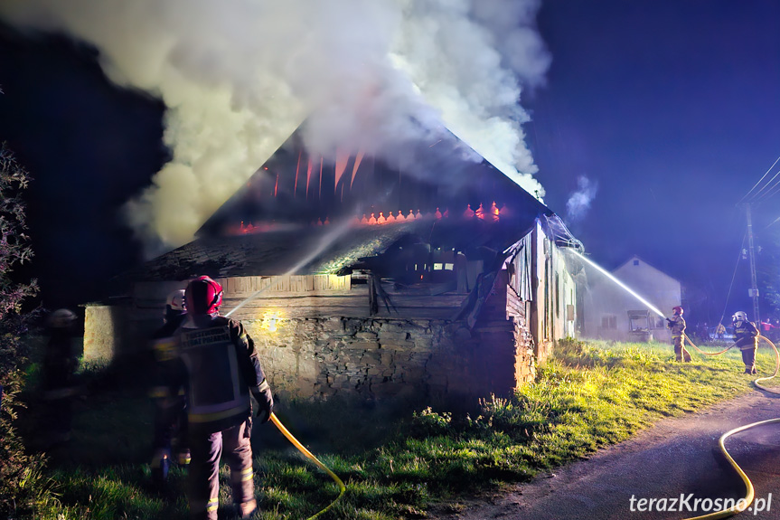 Pożar pustostanu w Rogach