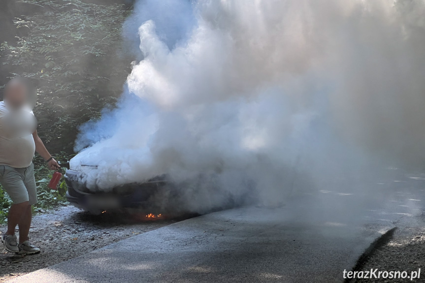 Pożar samochodu pomiędzy Lubatową a Bałucianką