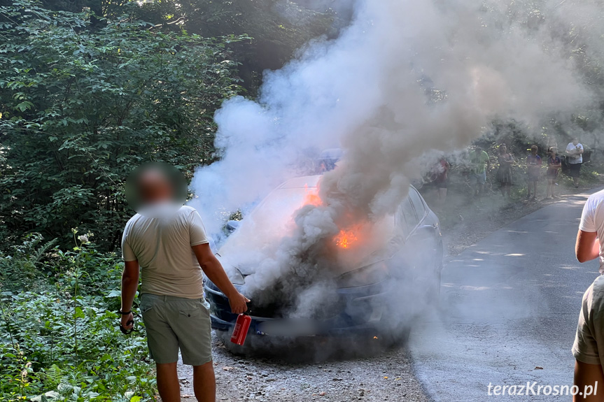 Pożar samochodu pomiędzy Lubatową a Bałucianką