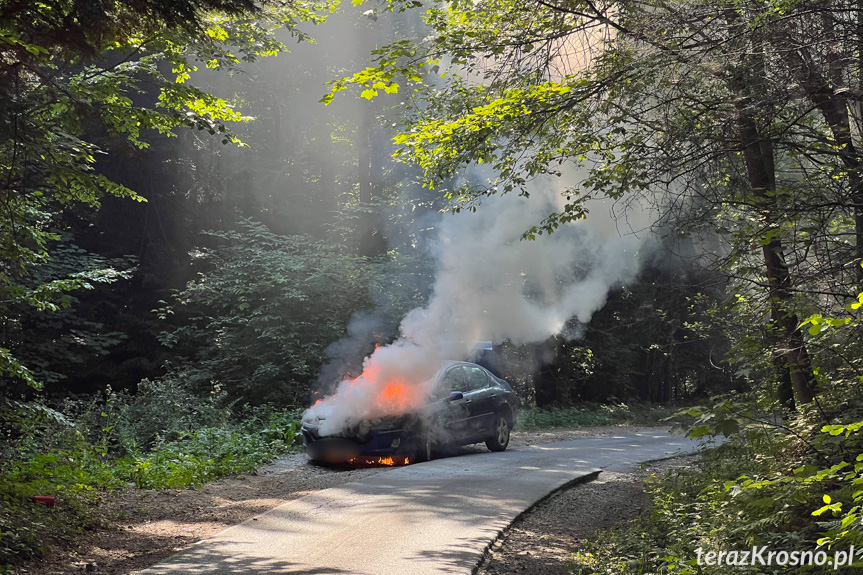 Pożar samochodu pomiędzy Lubatową a Bałucianką