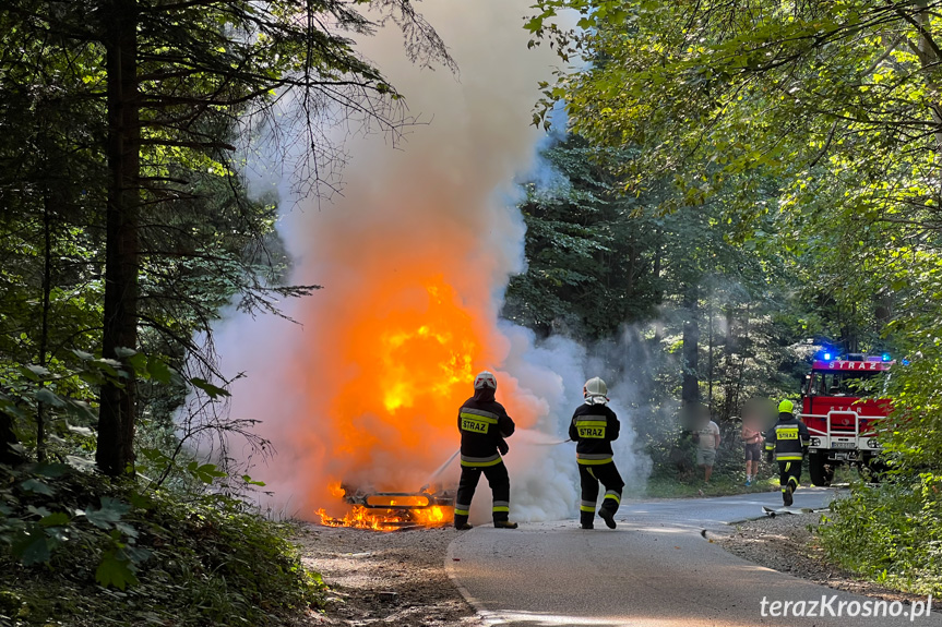 Pożar samochodu pomiędzy Lubatową a Bałucianką