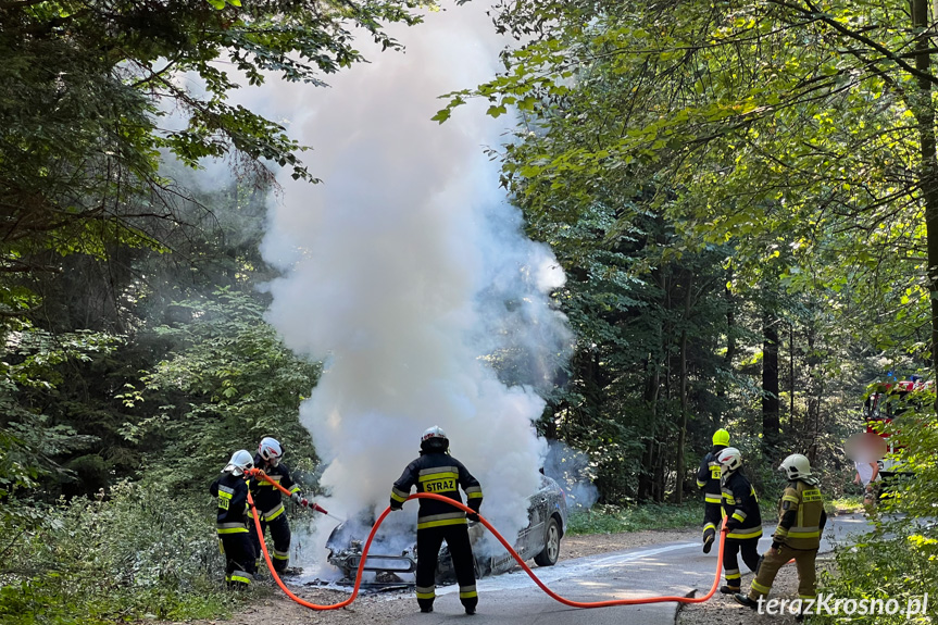 Pożar samochodu pomiędzy Lubatową a Bałucianką