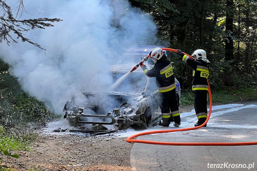 Pożar samochodu pomiędzy Lubatową a Bałucianką