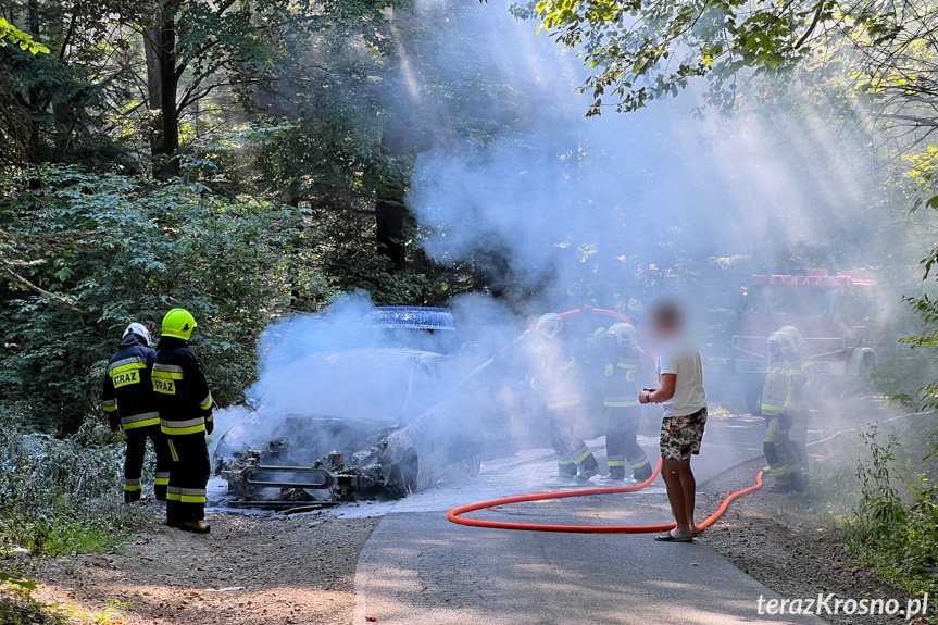 Pożar samochodu pomiędzy Lubatową a Bałucianką