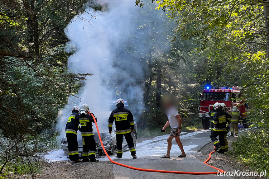 Pożar samochodu pomiędzy Lubatową a Bałucianką