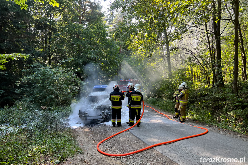 Pożar samochodu pomiędzy Lubatową a Bałucianką