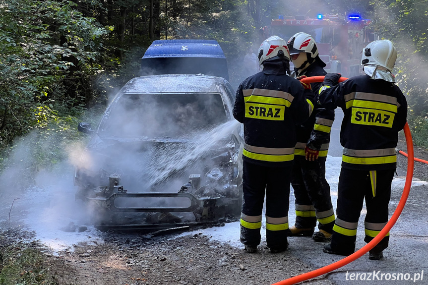 Pożar samochodu pomiędzy Lubatową a Bałucianką