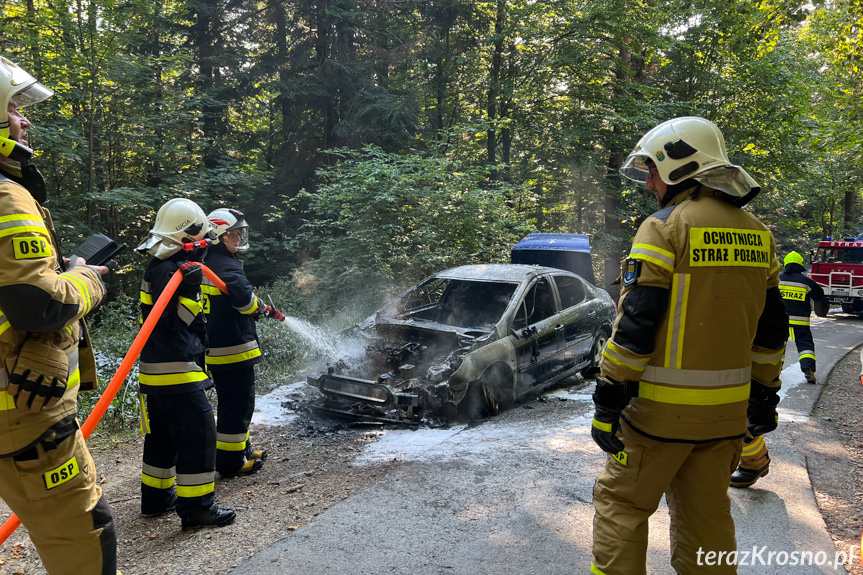 Pożar samochodu pomiędzy Lubatową a Bałucianką