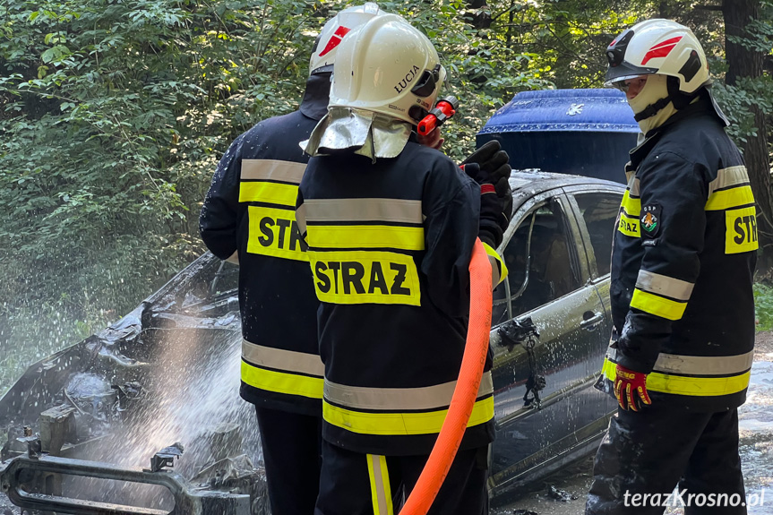 Pożar samochodu pomiędzy Lubatową a Bałucianką