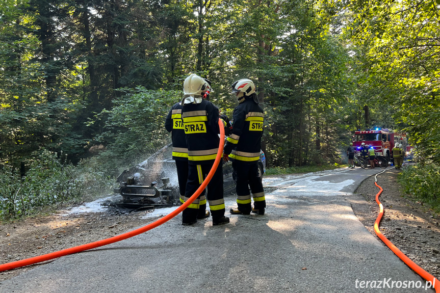 Pożar samochodu pomiędzy Lubatową a Bałucianką