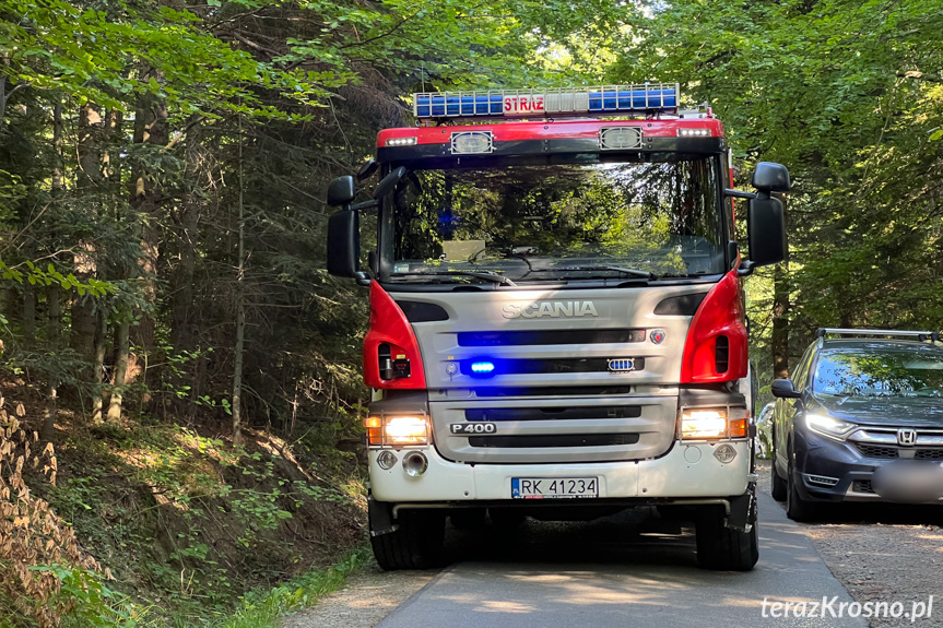 Pożar samochodu pomiędzy Lubatową a Bałucianką